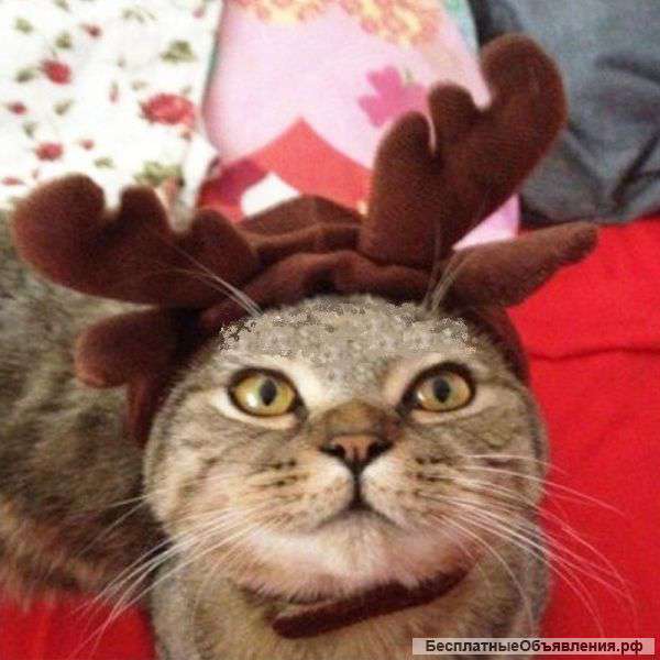 Шапка для кошки или собаки с рожками