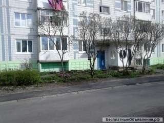 Сдается 1-ком. квартира в Новосиньково улучшенной планировки на длительный срок.