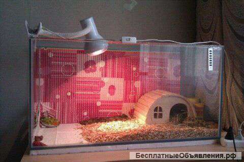 Продам аквариум-террариум