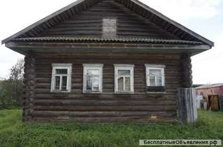 Жилой дом в дереве у реки