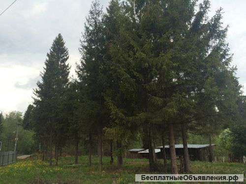 Участок Жодочи