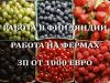 Рабочие на ферму в Финляндию. Работа за границей