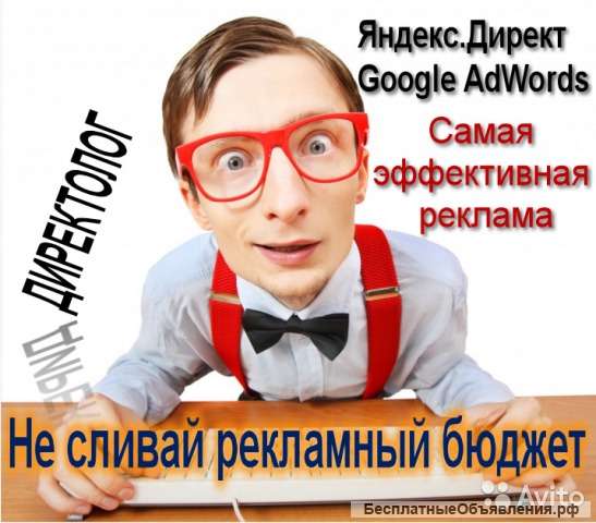 Директолог (реклама Яндекс Директ, Google Adwords)