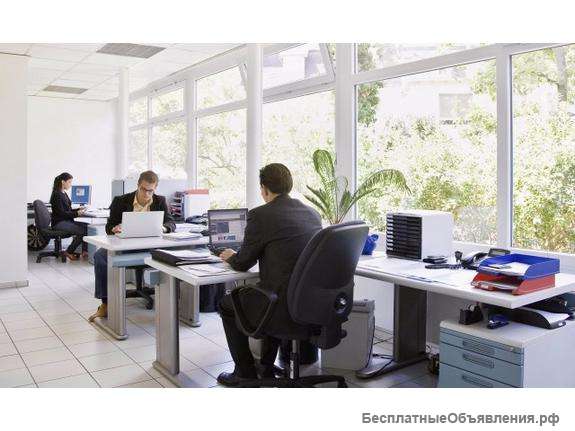 Помощник руководителя