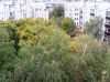 3-комнатную квартиру