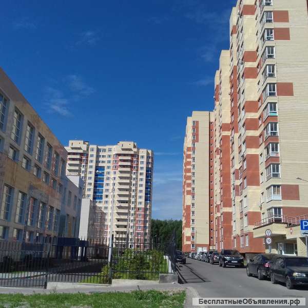 Евродвушка в Домодедово на студию в Московской области