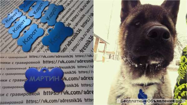 Адресники с гравировкой для ваших любимцев