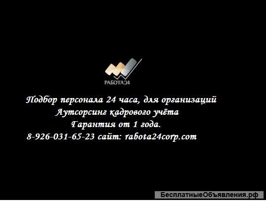 Кадровый учёт организаций