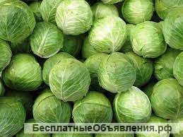 Капуста.лук.свекла.