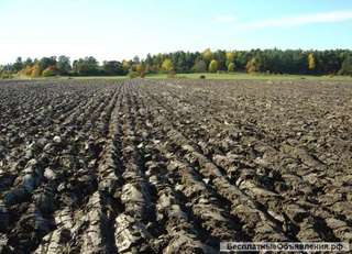 758 Га в Белореченском районе