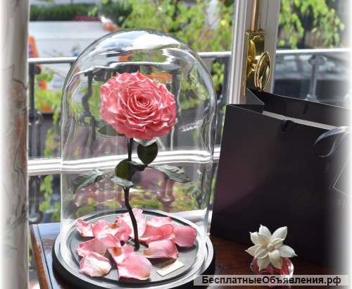 Уникальный подарок долговечная роза