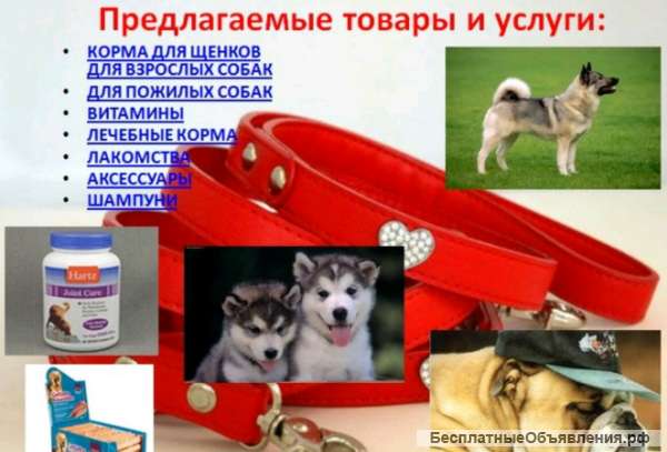 Оформление презентаций в powerpoint