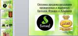 Оформление презентаций в powerpoint