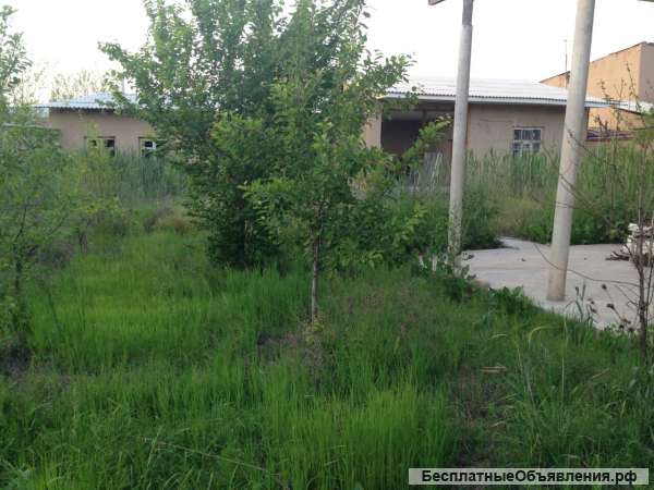 Дачу в Республике Узбекистан