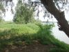 Участок 3 гектара