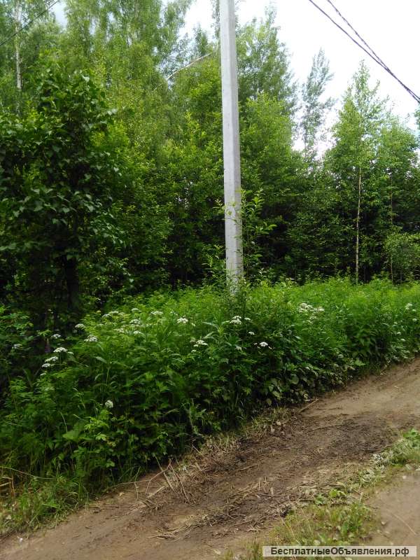 Участок 8 соток