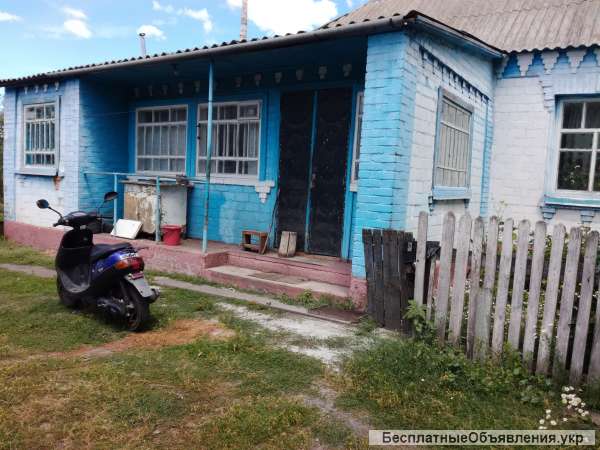 Дом с 2 спальн. (91.1 м²) (50 сот.) в г. Узин Киевская обл., Белоцерковский р-н
