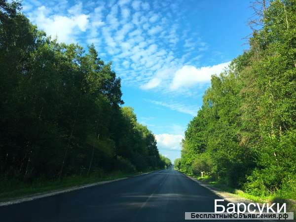 Участок ИЖС д. Барсуки