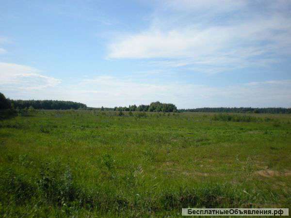 Участок 360 соток в Киржаче