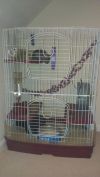 Большая клетка дегу шиншиллам хорькам