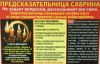 Предсказательница