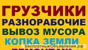 Грузоперевозки, грузчики, сборка мебели, вывоз мусора