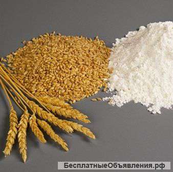 Мука от производителя