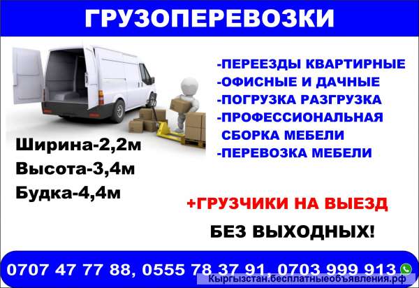 Грузоперевозки