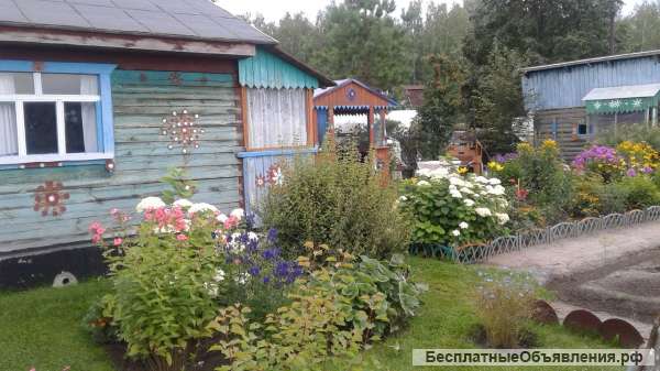 Дачу "Ёлочки 2"
