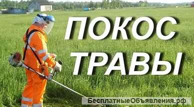 Скошу траву