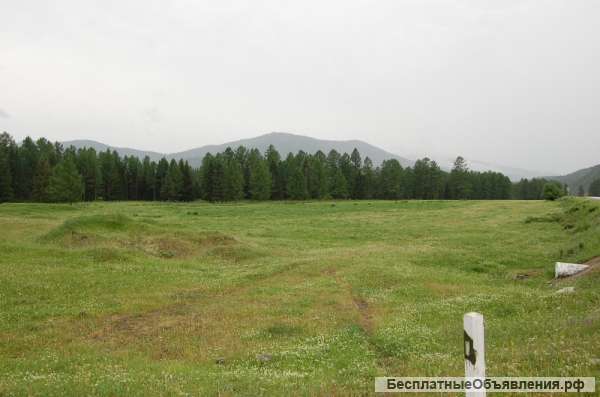 Участок в усть-коксе