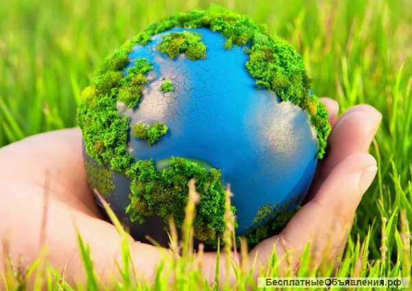 Требуется эколог