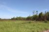 Участок 8 соток. Рядом деревни: Никулино