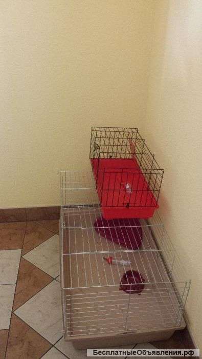 Клетки свинке кролику хорьку шиншилле