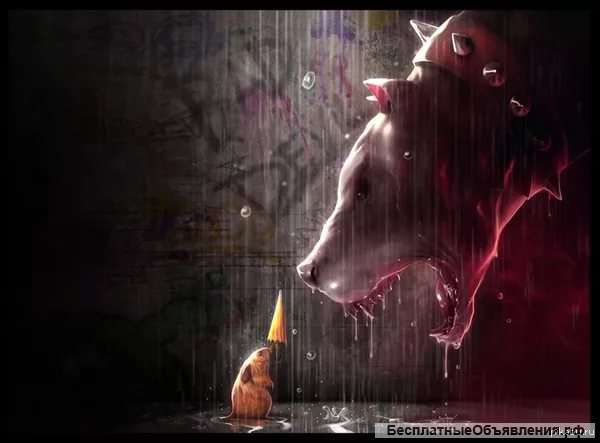 Коррекция поведения собак