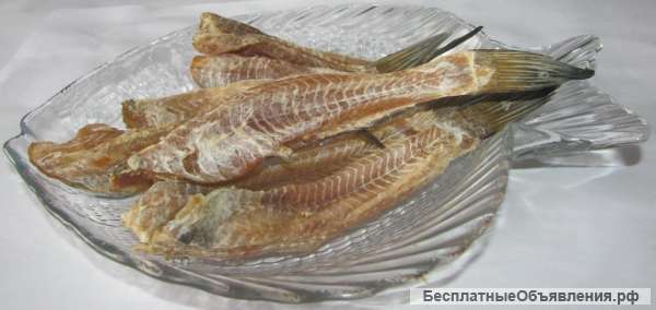 Рыба Азовского моря, бычек, пеленгас