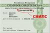 Поможем для получении ИНН и СНИЛС
