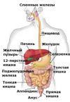 Старославянский массаж внутренних органов
