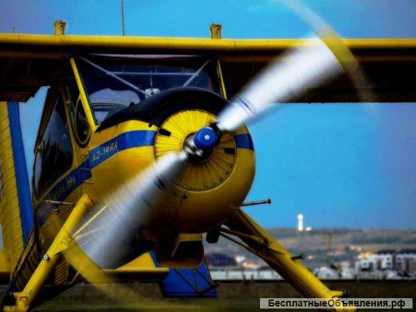 Полет на самолете