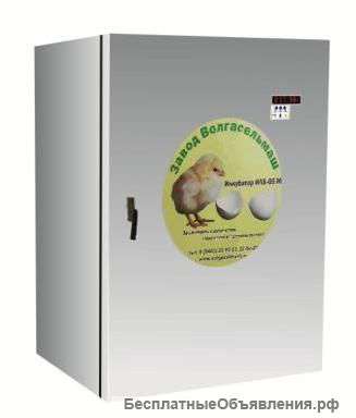 Инкубатор ИЛБ-0.5М (Модернизированный)