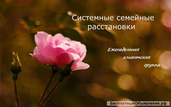 Расстановки по Хеллингеру