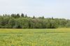 Московская область, Раменский район, д. Никулино, с. Заворово