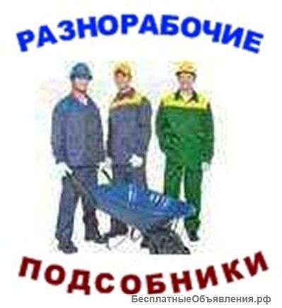 Разнорабочие подсобники универсалы граждане России.