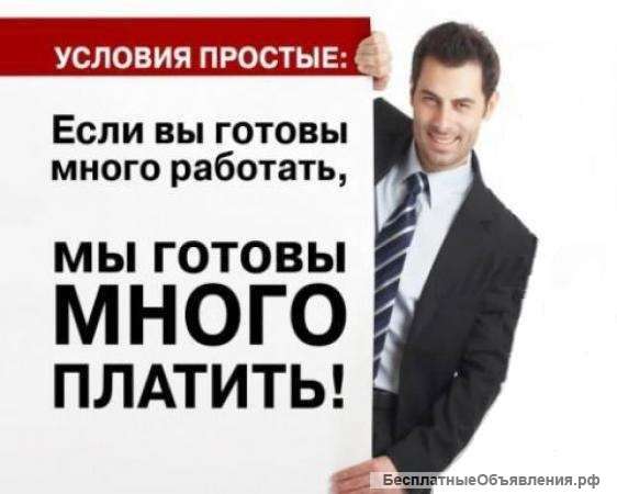 Требуется специалист организаторской деятельности