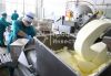 Производство молочной продукции