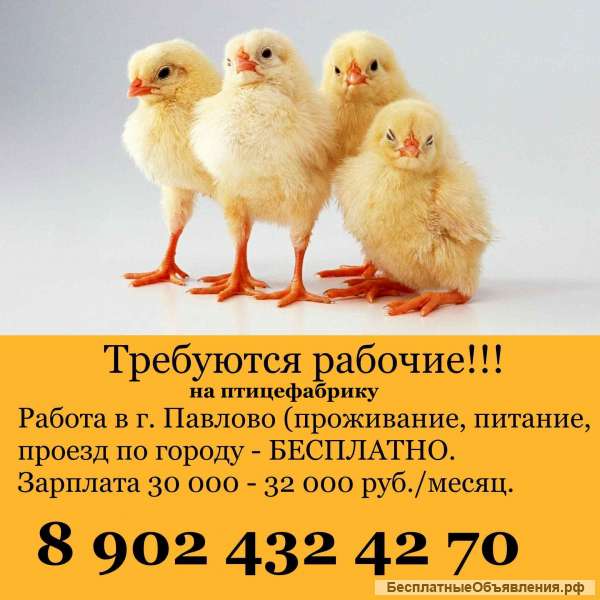Разнорабочие в Нижегородскую область, с выездом с Й-Олы