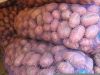 Картофель от 200 кг