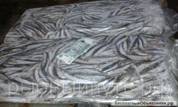 Крымская хамса 24 часа качество 100% цена от производителя