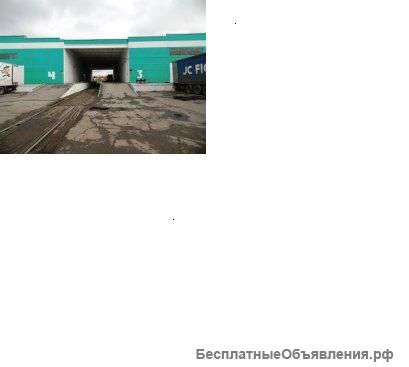 Логистическая компания в Казахстане