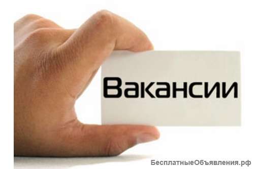 Требуются менеджеры